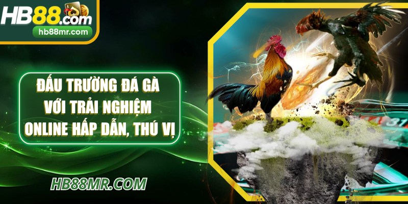 Đấu trường đá gà với trải nghiệm online hấp dẫn, thú vị