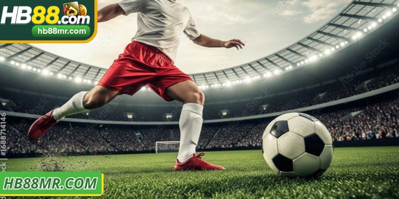 Phân tích từng hình thức, tỷ lệ và phương pháp dự đoán hiệu quả